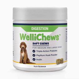 WelliChews Fodertillskott Treats Digestion Medium & Large Dogs 60 st